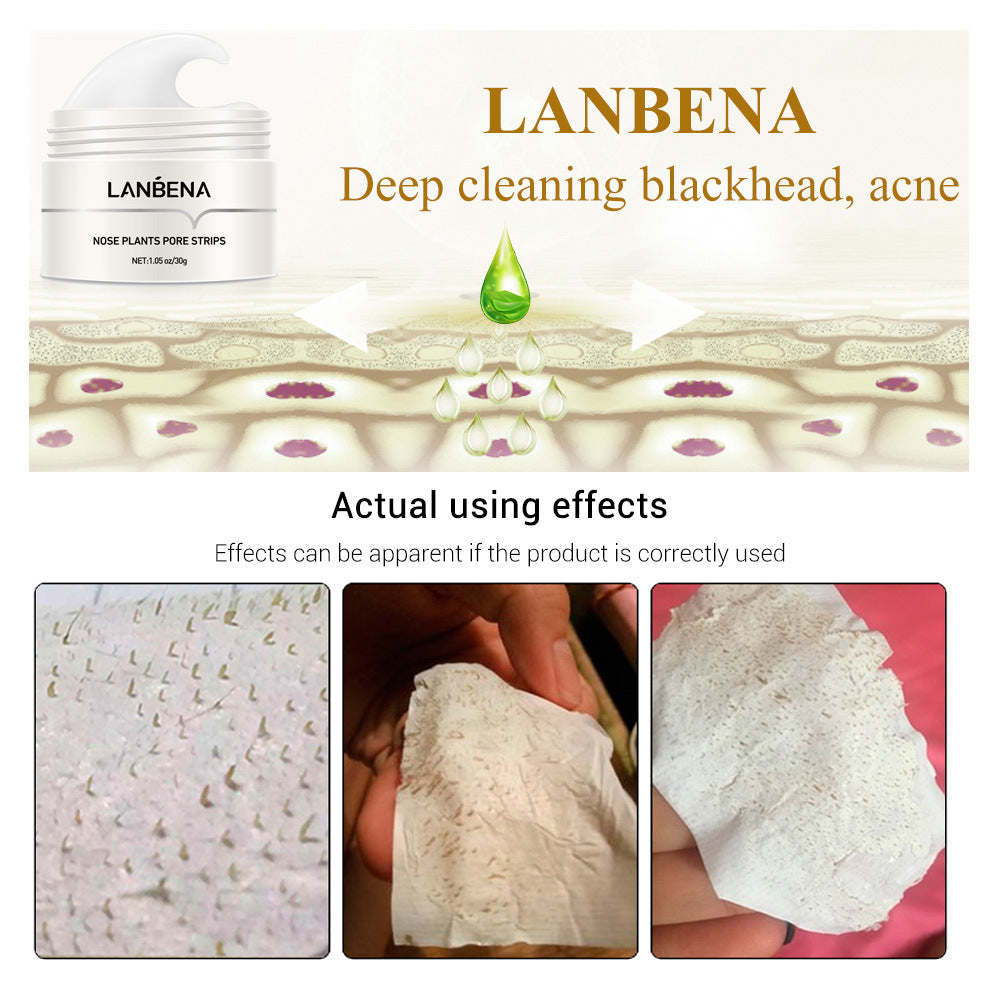 KELONDA™ Lanbena Plants Pore Cream | Buy 1 Get 1 Free