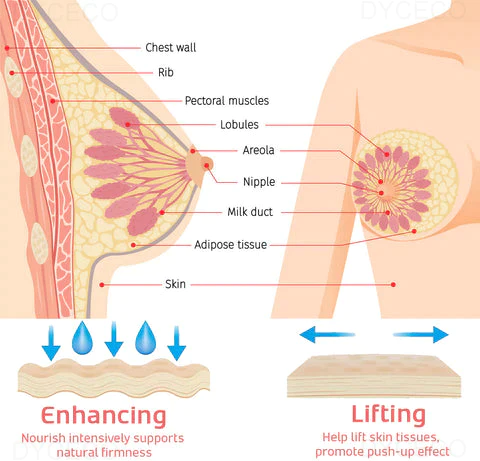 KELONDA™ Breast Enhancement Patch (10 Patches)